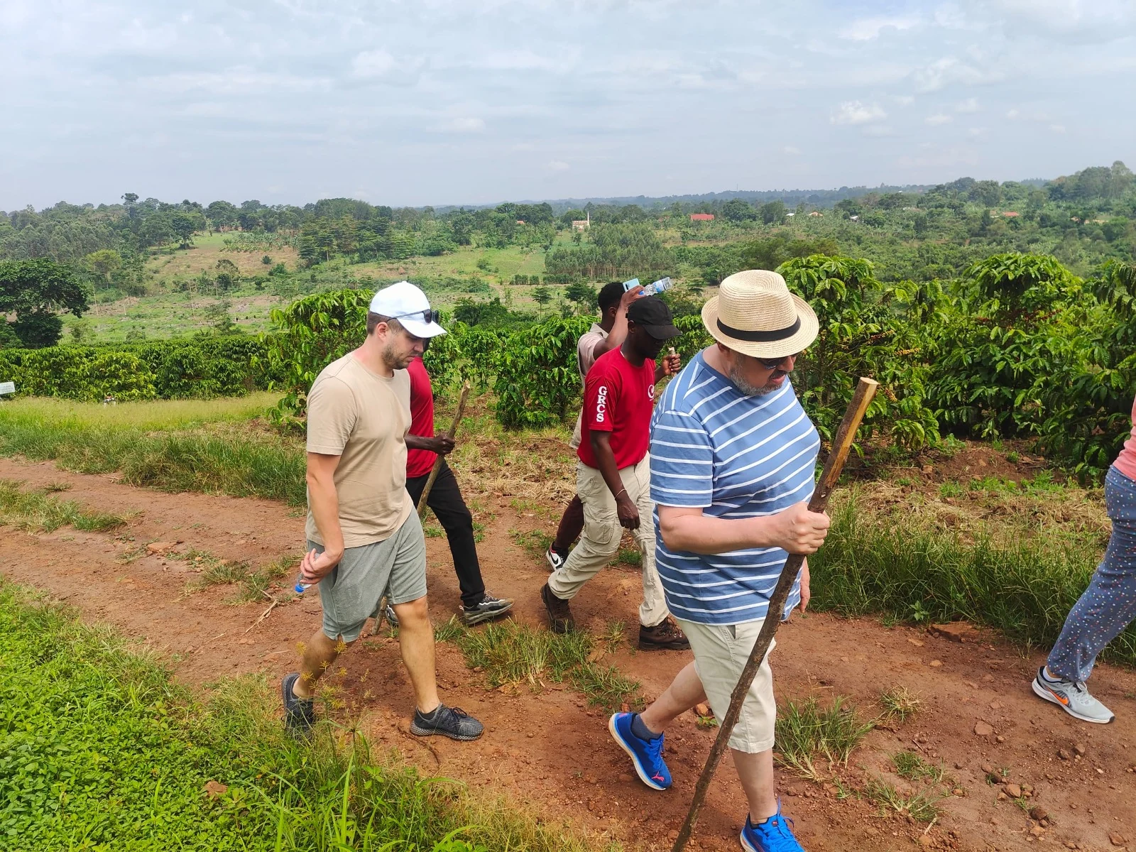 Guests walking through a coffee farm with walking sticks during our flagship Coffee Safari farm and factory tour